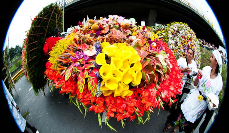 Desfile de Silleteros, Feria de las Flores, Medell...