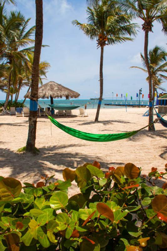 Hotel Decameron Marazul, Isla de San Andres, Archi...