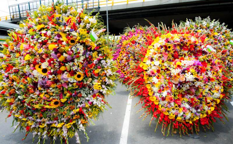 Desfile de Silleteros, Feria de las Flores, Medell...