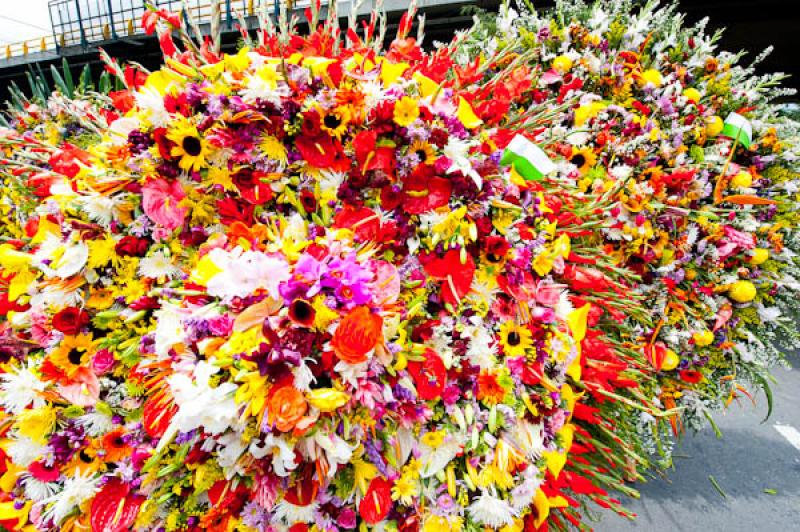 Desfile de Silleteros, Feria de las Flores, Medell...