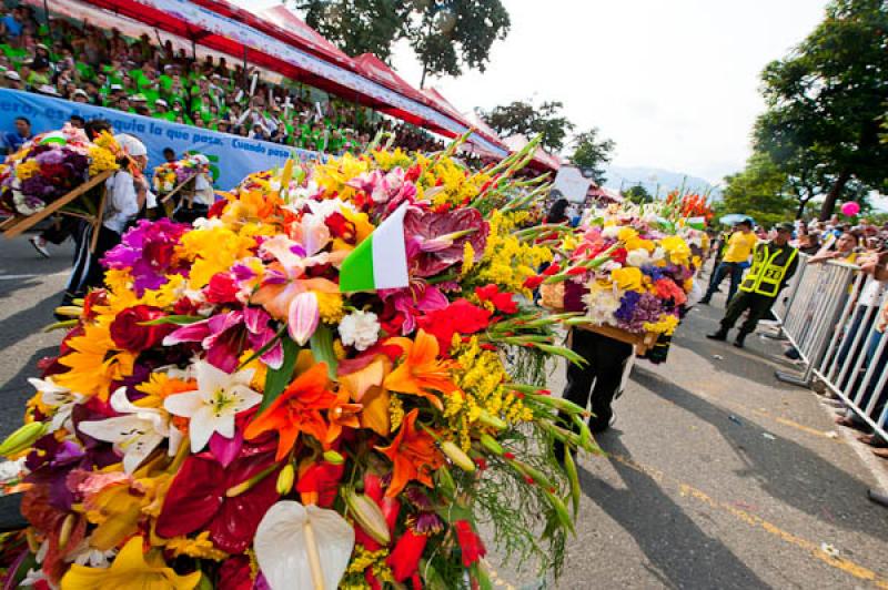 Desfile de Silleteros, Feria de las Flores, Medell...