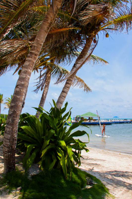 Hotel Decameron Marazul, Isla de San Andres, Archi...