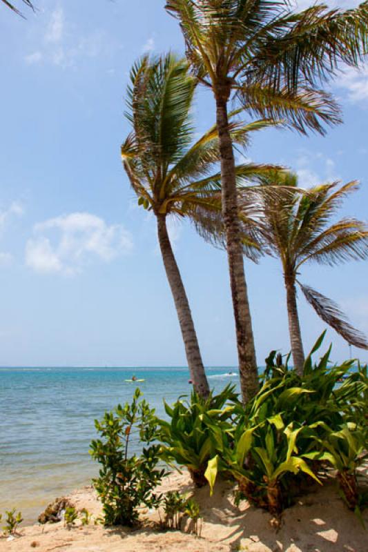 Hotel Decameron Marazul, Isla de San Andres, Archi...