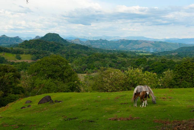 Paisaje de San Sebastian de Mariquita, Mariquita, ...