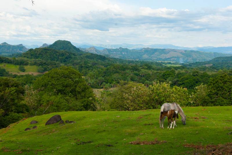 Paisaje de San Sebastian de Mariquita, Mariquita, ...