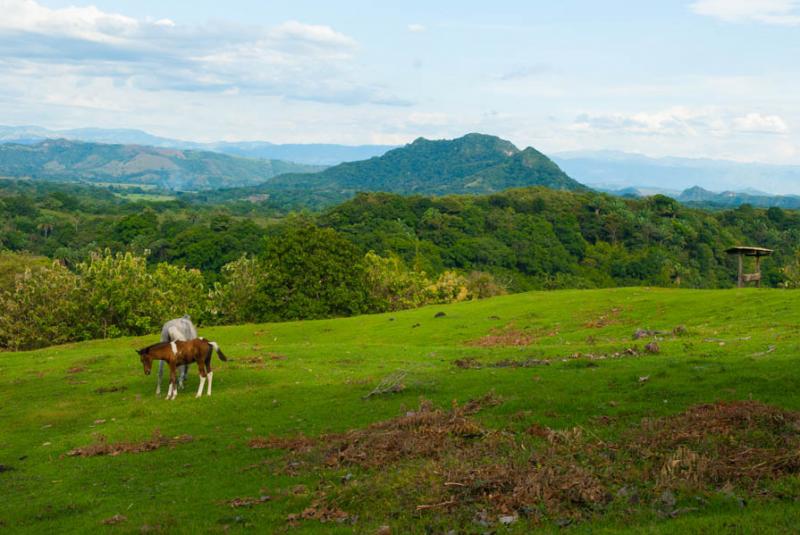 Paisaje de San Sebastian de Mariquita, Mariquita, ...