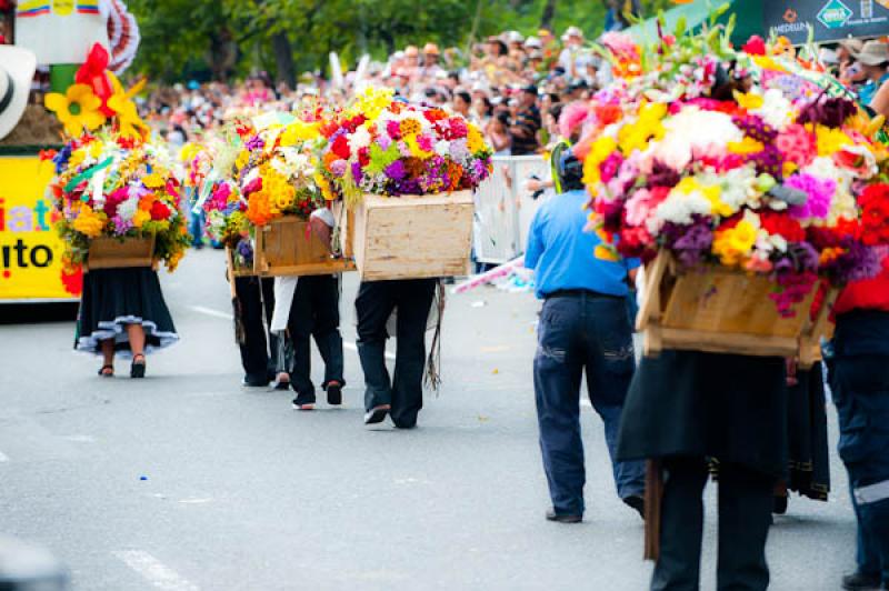 Desfile de Silleteros, Feria de las Flores, Medell...