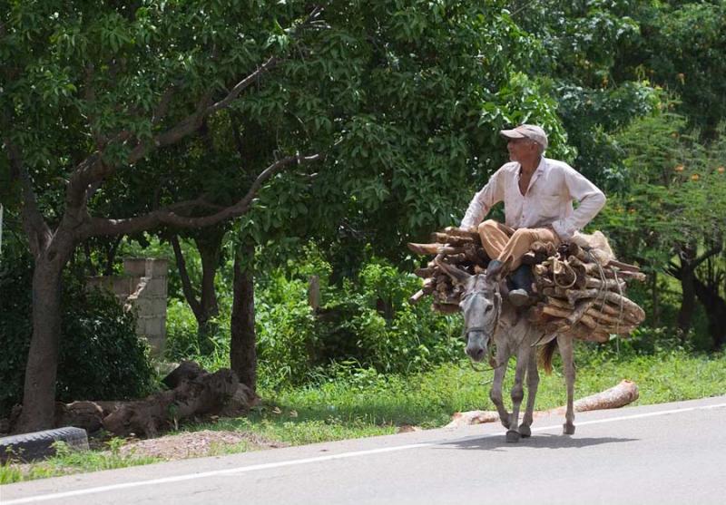 Campesino de Cesar, Valledupar, Colombia