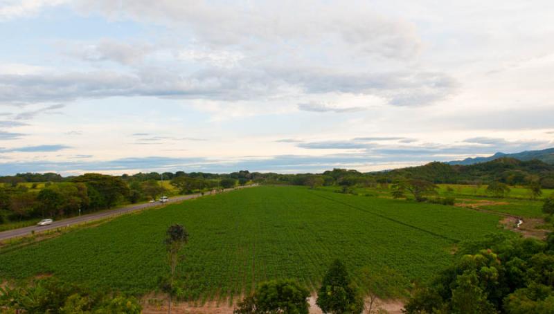 Paisaje de Armero, Tolima, Ibague, Colombia