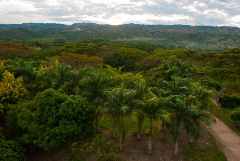 Paisaje de Armero, Tolima, Ibague, Colombia