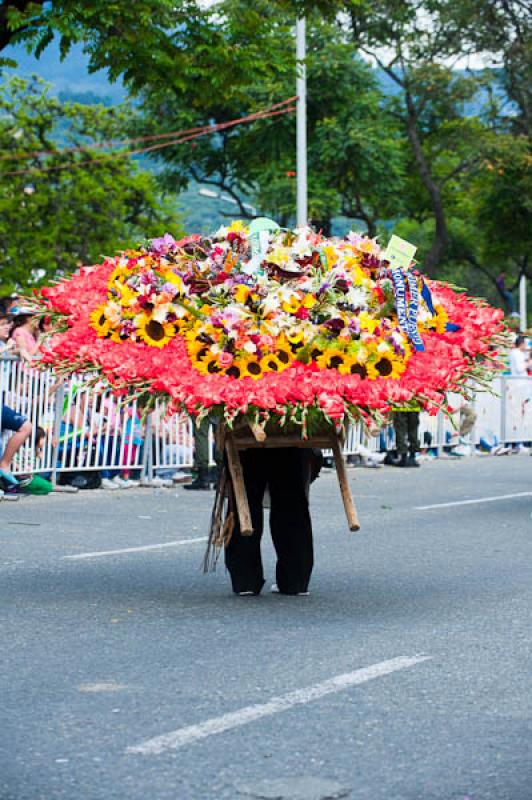 Desfile de Silleteros, Feria de las Flores, Medell...