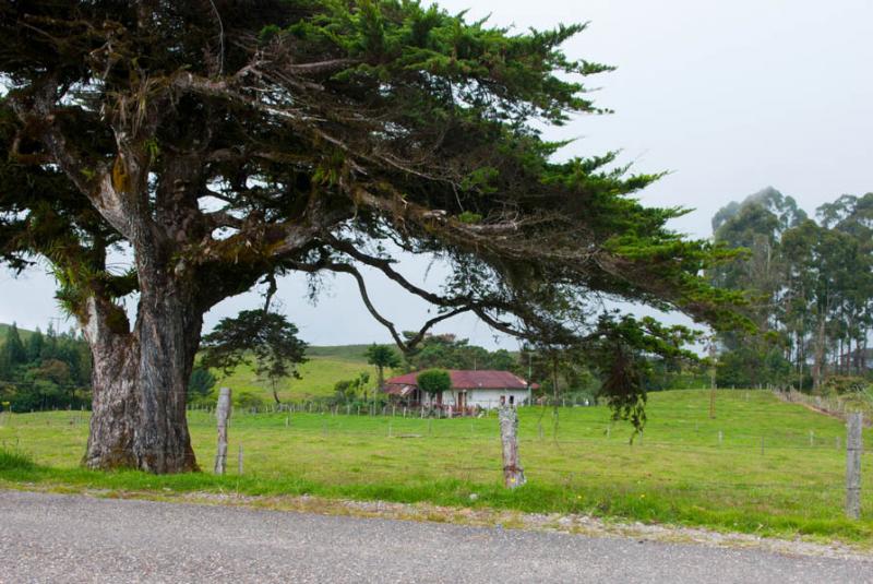 Vivienda en el Campo, Murillo, Tolima, Ibague, Col...