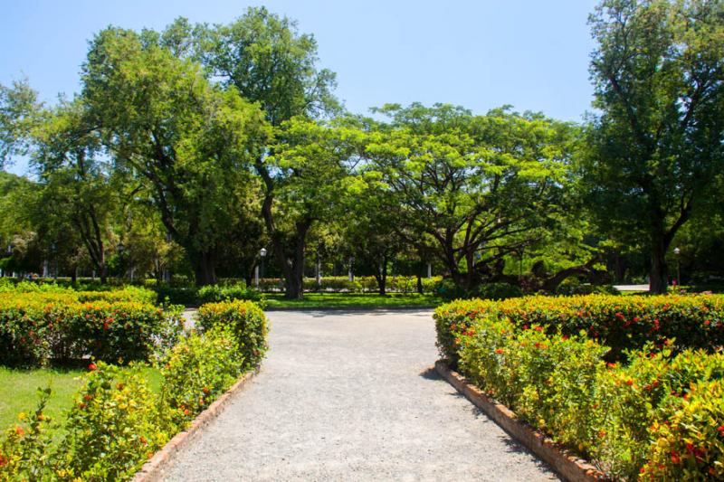 Jardin Botanico, Quinta de San Pedro Alejandrino, ...