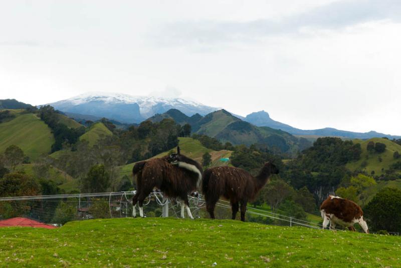 Paisaje de Murillo, Tolima, Ibague, Colombia