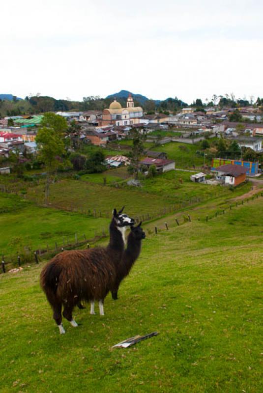 Panoramica de Murillo, Tolima, Ibague, Colombia