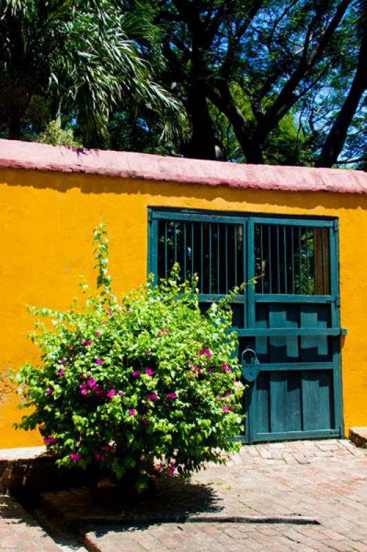 Hacienda Florida de San Pedro Alejandrino, Quinta ...