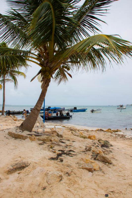 Playa Rocky Key, Isla de San Andres, Archipielago ...