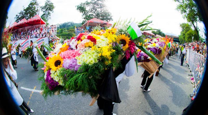 Desfile de Silleteros, Feria de las Flores, Medell...