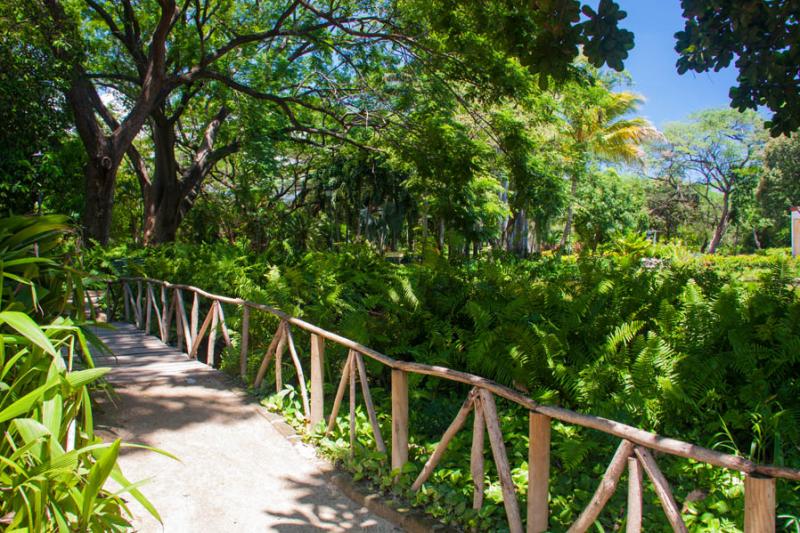 Jardin Botanico, Quinta de San Pedro Alejandrino, ...