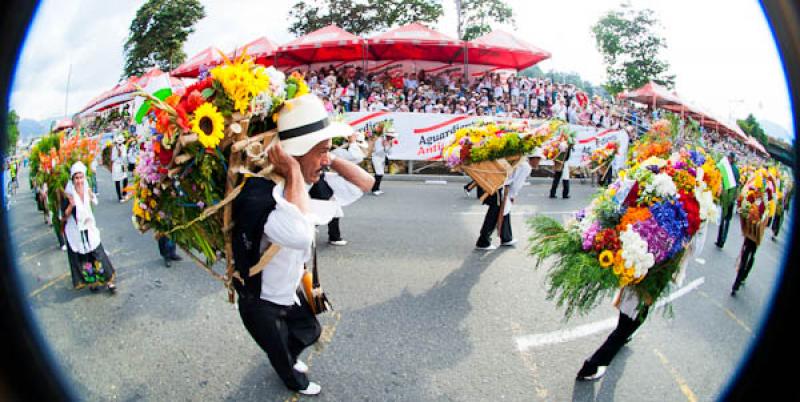 Desfile de Silleteros, Feria de las Flores, Medell...