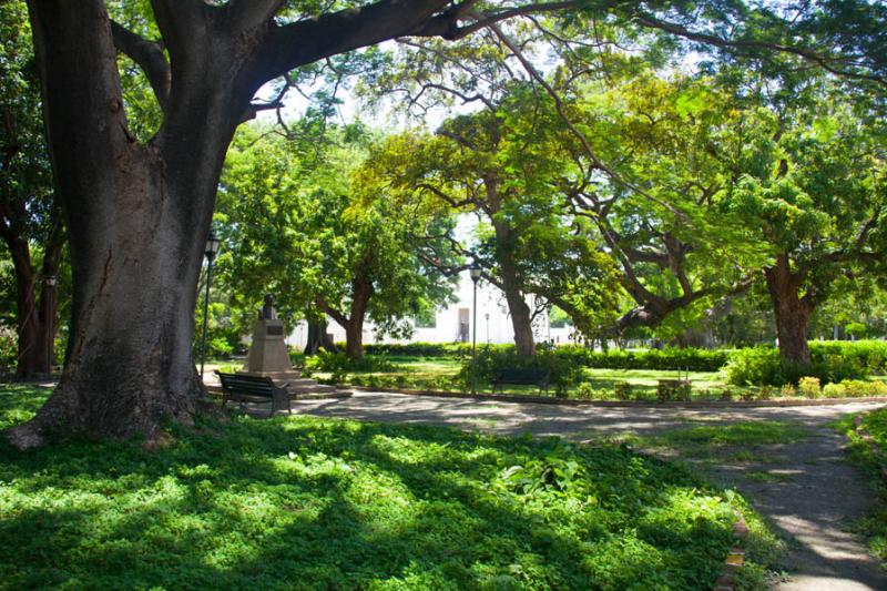 Jardin Botanico, Quinta de San Pedro Alejandrino, ...