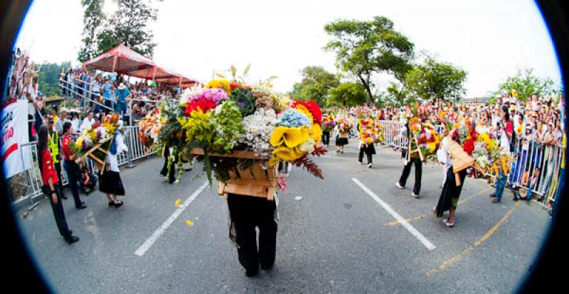 Desfile de Silleteros, Feria de las Flores, Medell...