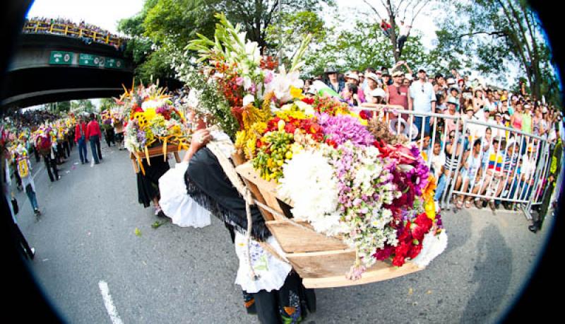 Desfile de Silleteros, Feria de las Flores, Medell...