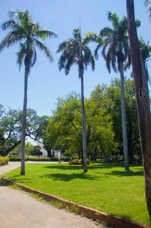 Jardin Botanico, Quinta de San Pedro Alejandrino, ...