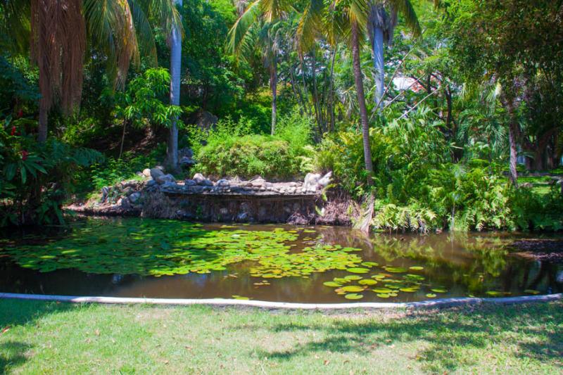 Jardin Botanico, Quinta de San Pedro Alejandrino, ...