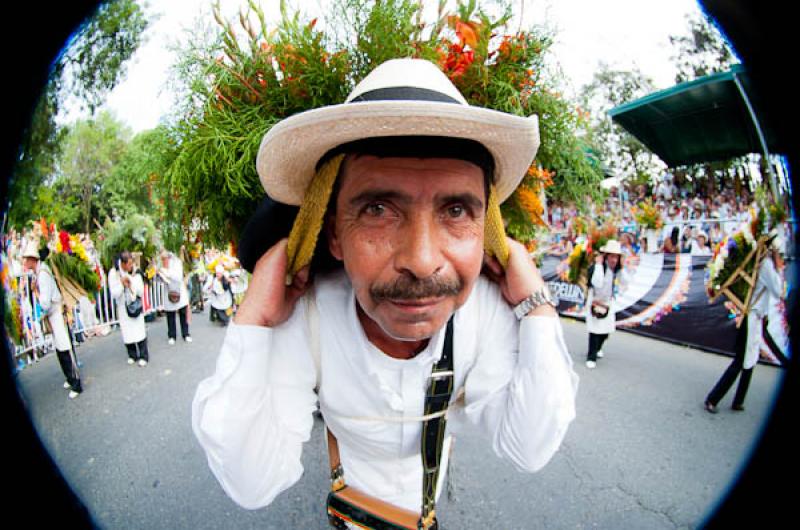 Desfile de Silleteros, Feria de las Flores, Medell...