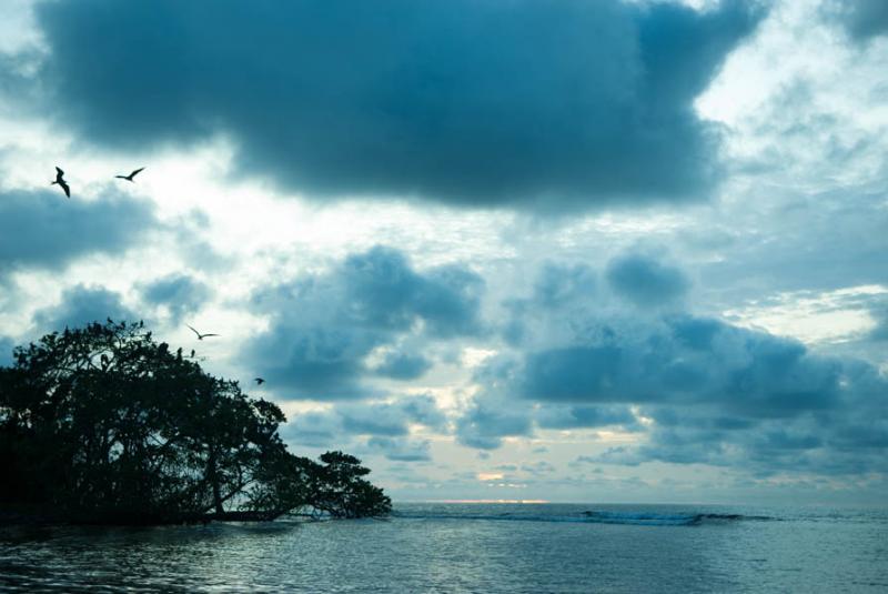 Isla de los Pajaros, Parque Natural Corales del Ro...