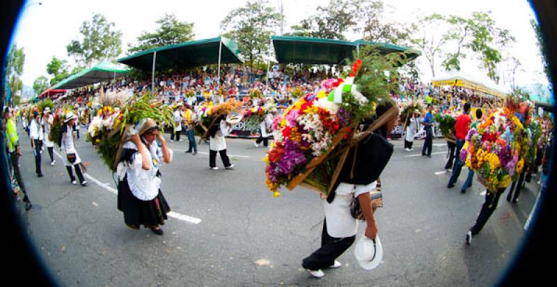 Desfile de Silleteros, Feria de las Flores, Medell...