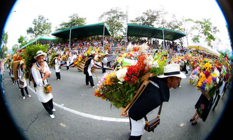 Desfile de Silleteros, Feria de las Flores, Medell...