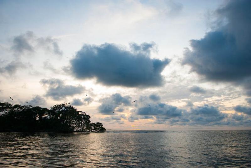 Isla de los Pajaros, Parque Natural Corales del Ro...