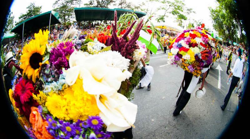 Desfile de Silleteros, Feria de las Flores, Medell...