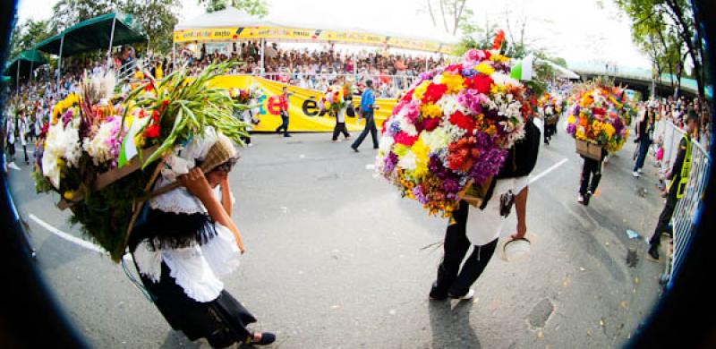 Desfile de Silleteros, Feria de las Flores, Medell...