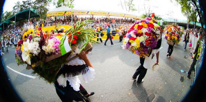 Desfile de Silleteros, Feria de las Flores, Medell...