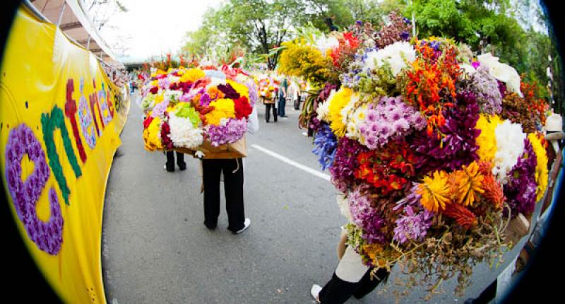 Desfile de Silleteros, Feria de las Flores, Medell...