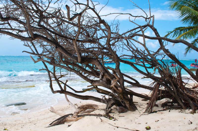 Isla de San Andres, Archipielago de San Andres, Pr...