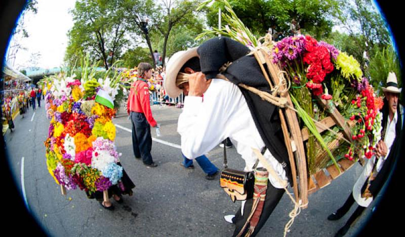 Desfile de Silleteros, Feria de las Flores, Medell...