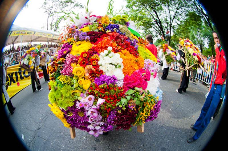 Desfile de Silleteros, Feria de las Flores, Medell...