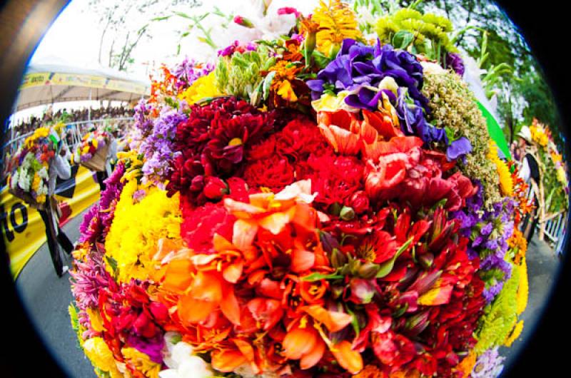 Desfile de Silleteros, Feria de las Flores, Medell...