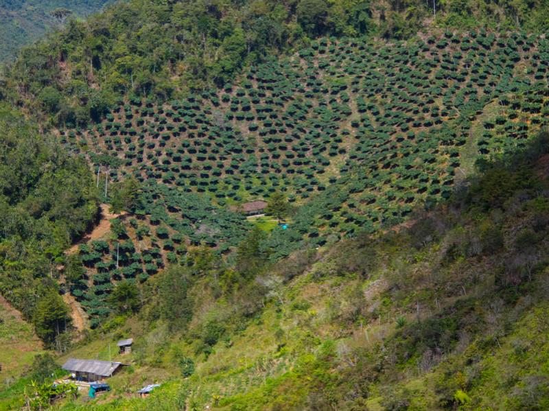 Paisaje de San Vicente, Antioquia, Oriente Antioqu...