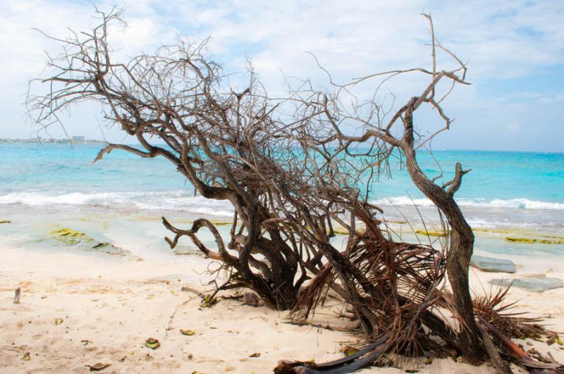 Isla de San Andres, Archipielago de San Andres, Pr...