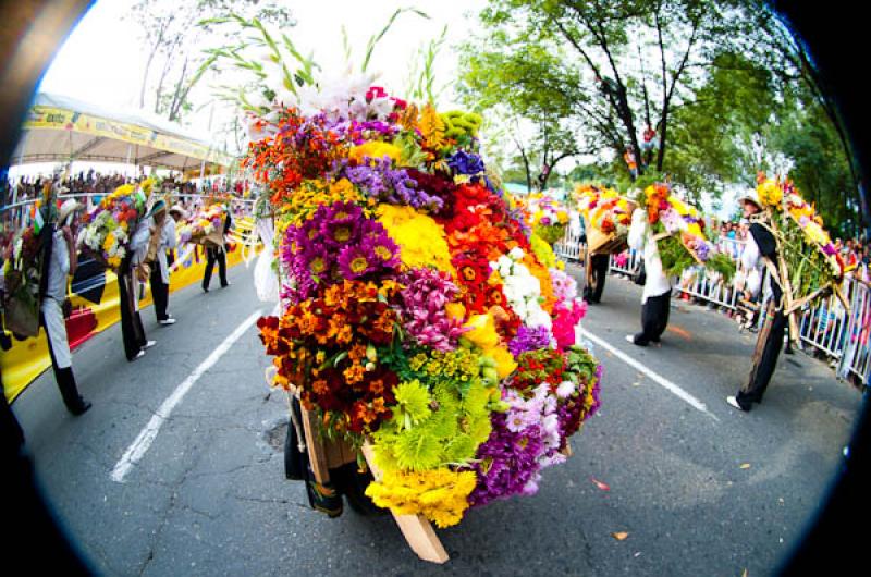 Desfile de Silleteros, Feria de las Flores, Medell...