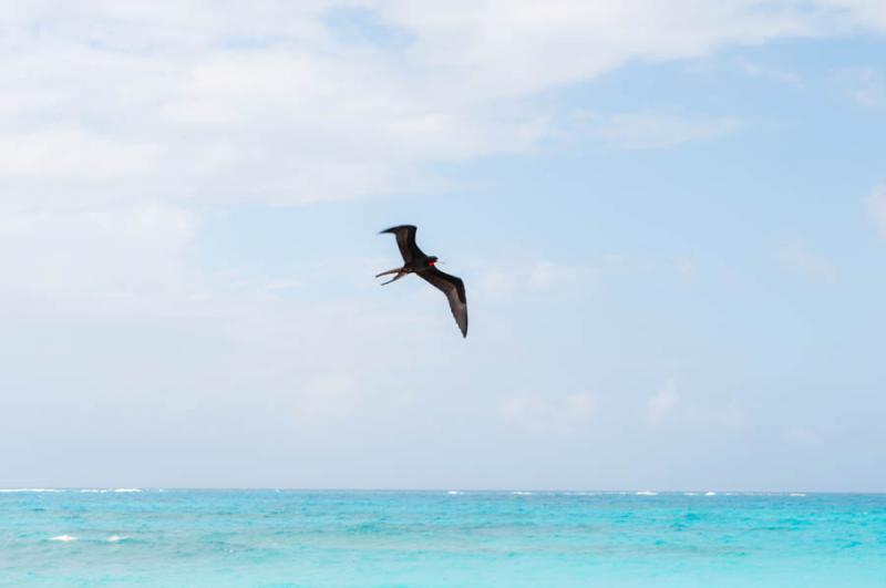 Isla de San Andres, Archipielago de San Andres, Pr...