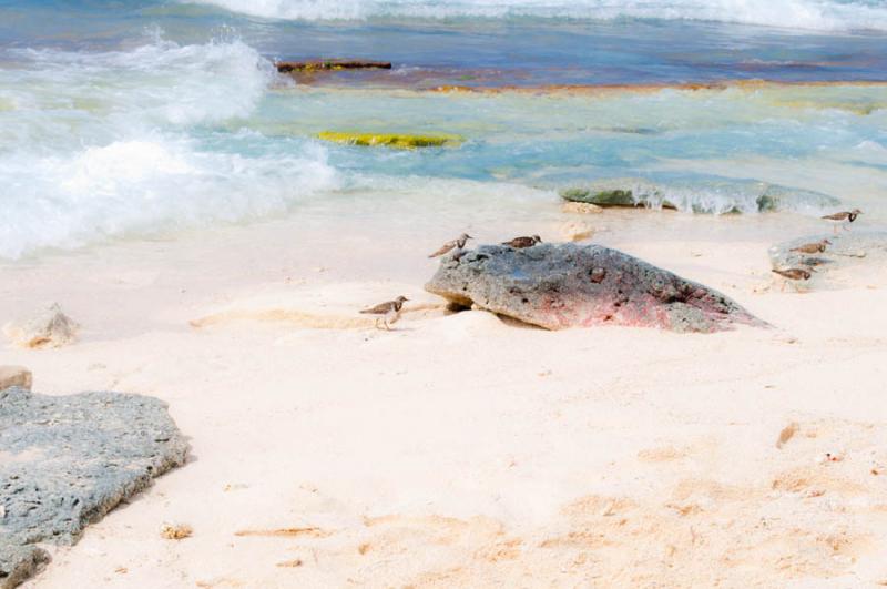 Isla de San Andres, Archipielago de San Andres, Pr...