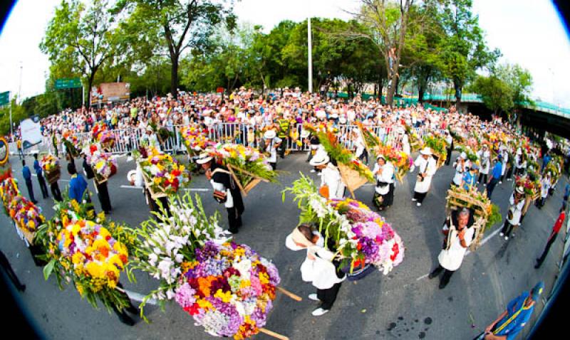 Desfile de Silleteros, Feria de las Flores, Medell...