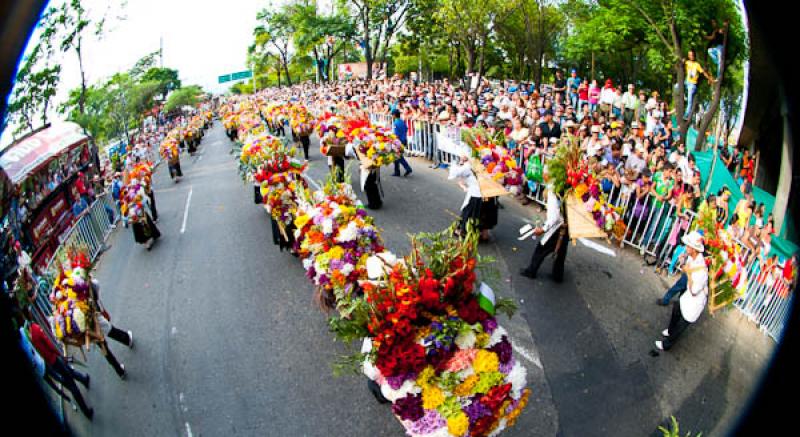 Desfile de Silleteros, Feria de las Flores, Medell...