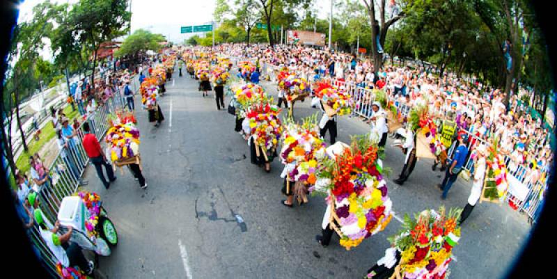 Desfile de Silleteros, Feria de las Flores, Medell...